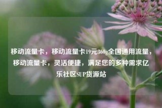 移动流量卡,移动流量卡19元360g全国通用流量,移动流量卡,灵活便捷,满足您的多种需求亿乐社区SUP货源站