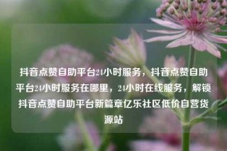 抖音点赞自助平台24小时服务,抖音点赞自助平台24小时服务在哪里,24小时在线服务,解锁抖音点赞自助平台新篇章亿乐社区低价自营货源站