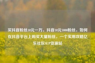 买抖音粉丝10元一万,抖音10元1000粉丝,如何在抖音平台上购买大量粉丝,一个实用攻略亿乐社区SUP货源站