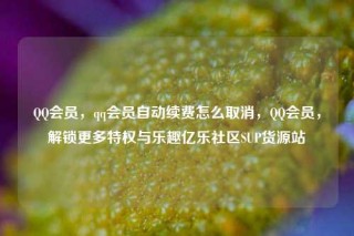 QQ会员,qq会员自动续费怎么取消,QQ会员,解锁更多特权与乐趣亿乐社区SUP货源站