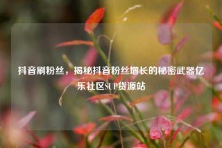 抖音刷粉丝,揭秘抖音粉丝增长的秘密武器亿乐社区SUP货源站