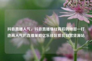 抖音直播人气,抖音直播爆红背后的秘密—打造高人气的直播策略亿乐社区低价自营货源站
