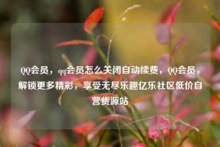 QQ会员，qq会员怎么关闭自动续费，QQ会员，解锁更多精彩，享受无尽乐趣亿乐社区低价自营货源站
