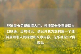 纯流量卡免费申请入口,纯流量卡免费申请入口联通,当然可以,请允许我为您构思一个独特且吸引人的标题和文章内容。亿乐社区SUP货源站