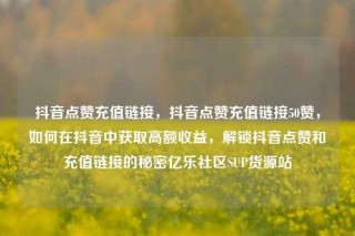 抖音点赞充值链接,抖音点赞充值链接50赞,如何在抖音中获取高额收益,解锁抖音点赞和充值链接的秘密亿乐社区SUP货源站