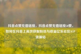 抖音点赞充值链接，抖音点赞充值链接50赞，如何在抖音上高效获取粉丝与收益亿乐社区SUP货源站