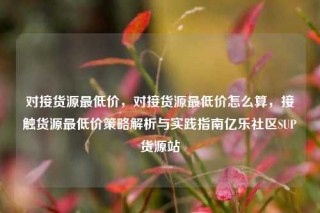 对接货源最低价,对接货源最低价怎么算,接触货源最低价策略解析与实践指南亿乐社区SUP货源站