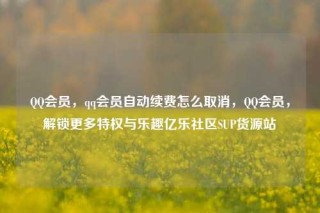 QQ会员,qq会员自动续费怎么取消,QQ会员,解锁更多特权与乐趣亿乐社区SUP货源站