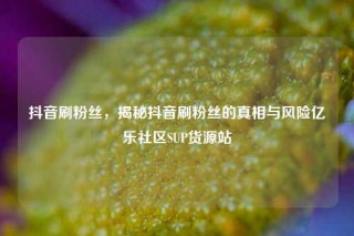 抖音刷粉丝,揭秘抖音刷粉丝的真相与风险亿乐社区SUP货源站