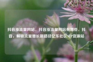 抖音涨流量网站,抖音涨流量网站有哪些,抖音,解锁流量增长新路径亿乐社区SUP货源站