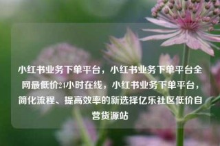 小红书业务下单平台,小红书业务下单平台全网最低价24小时在线,小红书业务下单平台,简化流程、提高效率的新选择亿乐社区低价自营货源站