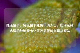 纯流量卡,纯流量卡免费申请入口,如何选择合适的纯流量卡亿乐社区低价自营货源站
