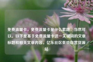 免费流量卡，免费流量卡是什么套路，当然可以。以下是基于免费流量卡这一关键词的文章标题和相关文章内容。亿乐社区低价自营货源站