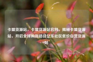卡盟货源站,卡盟货源站官网,揭秘卡盟货源站,开启全球购新路径亿乐社区低价自营货源站