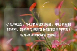 小红书粉丝,小红书粉丝如何涨,小红书粉们的秘密,如何与品牌建立长期且稳固的关系?亿乐社区低价自营货源站