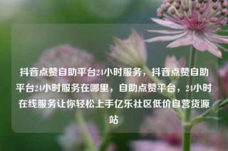 抖音点赞自助平台24小时服务,抖音点赞自助平台24小时服务在哪里,自助点赞平台,24小时在线服务让你轻松上手亿乐社区低价自营货源站