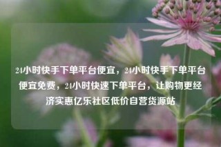 24小时快手下单平台便宜,24小时快手下单平台便宜免费,24小时快速下单平台,让购物更经济实惠亿乐社区低价自营货源站