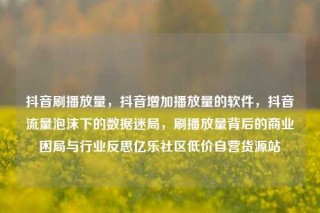 抖音刷播放量,抖音增加播放量的软件,抖音流量泡沫下的数据迷局,刷播放量背后的商业困局与行业反思亿乐社区低价自营货源站