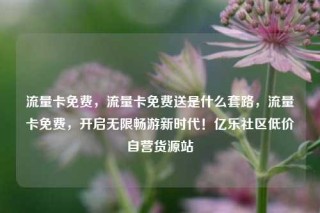 流量卡免费,流量卡免费送是什么套路,流量卡免费,开启无限畅游新时代!亿乐社区低价自营货源站