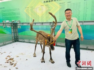 长春农博会观察:科技小院为乡村振兴聚智赋能