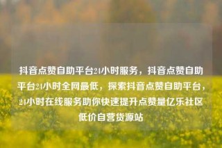 抖音点赞自助平台24小时服务,抖音点赞自助平台24小时全网最低,探索抖音点赞自助平台,24小时在线服务助你快速提升点赞量亿乐社区低价自营货源站