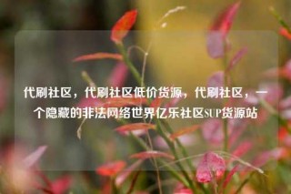 代刷社区,代刷社区低价货源,代刷社区,一个隐藏的非法网络世界亿乐社区SUP货源站