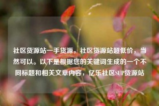 社区货源站一手货源,社区货源站超低价,当然可以。以下是根据您的关键词生成的一个不同标题和相关文章内容,亿乐社区SUP货源站