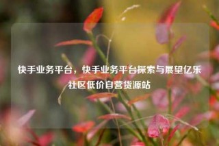 快手业务平台,快手业务平台探索与展望亿乐社区低价自营货源站