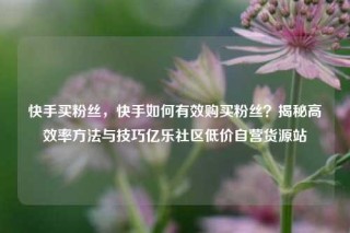 快手买粉丝，快手如何有效购买粉丝？揭秘高效率方法与技巧亿乐社区低价自营货源站