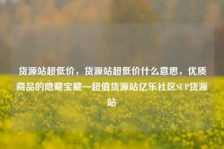 货源站超低价,货源站超低价什么意思,优质商品的隐藏宝藏—超值货源站亿乐社区SUP货源站