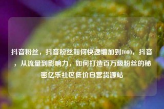 抖音粉丝,抖音粉丝如何快速增加到1000,抖音,从流量到影响力,如何打造百万级粉丝的秘密亿乐社区低价自营货源站