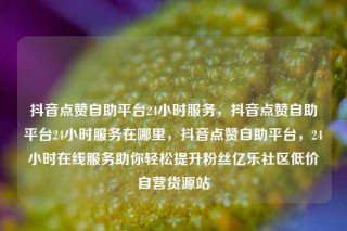 抖音点赞自助平台24小时服务,抖音点赞自助平台24小时服务在哪里,抖音点赞自助平台,24小时在线服务助你轻松提升粉丝亿乐社区低价自营货源站