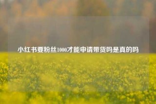 小红书要粉丝1000才能申请带货吗是真的吗