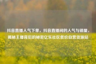 抖音直播人气下单,抖音直播间的人气与销量,揭秘主播背后的秘密亿乐社区低价自营货源站