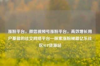 涨粉平台,微信视频号涨粉平台,高效增长用户基础的社交网络平台—探索涨粉秘籍亿乐社区SUP货源站
