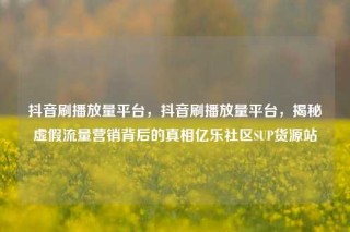 抖音刷播放量平台,抖音刷播放量平台,揭秘虚假流量营销背后的真相亿乐社区SUP货源站