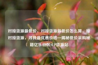 对接货源最低价,对接货源最低价怎么算,接对接货源,寻找最优惠价格—揭秘低价采购秘籍亿乐社区SUP货源站