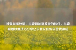 抖音刷播放量,抖音增加播放量的软件,抖音刷播放量技巧分享亿乐社区低价自营货源站