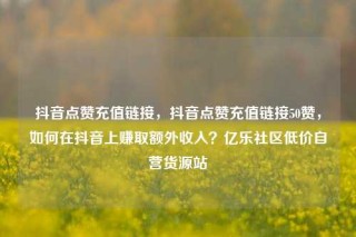 抖音点赞充值链接,抖音点赞充值链接50赞,如何在抖音上赚取额外收入?亿乐社区低价自营货源站