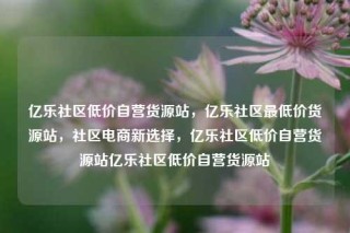 亿乐社区低价自营货源站,亿乐社区最低价货源站,社区电商新选择,亿乐社区低价自营货源站亿乐社区低价自营货源站