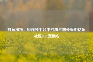 抖音涨粉,短视频平台中的粉丝增长策略亿乐社区SUP货源站