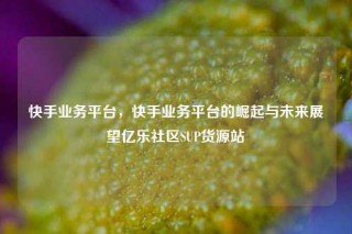快手业务平台,快手业务平台的崛起与未来展望亿乐社区SUP货源站