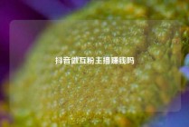 抖音做互粉主播赚钱吗