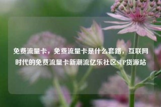 免费流量卡,免费流量卡是什么套路,互联网时代的免费流量卡新潮流亿乐社区SUP货源站