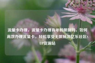 流量卡办理,流量卡办理有年龄限制吗,如何高效办理流量卡,轻松享受无限畅游亿乐社区SUP货源站