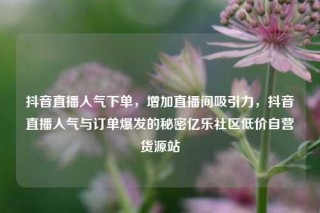 抖音直播人气下单,增加直播间吸引力,抖音直播人气与订单爆发的秘密亿乐社区低价自营货源站