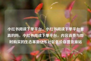 小红书阅读下单平台,小红书阅读下单平台是真的吗,小红书阅读下单平台,内容消费与即时购买的生态革新亿乐社区低价自营货源站