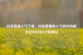 抖音直播人气下单,抖音直播间人气飙升的秘密亿乐社区SUP货源站