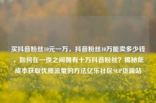 买抖音粉丝10元一万,抖音粉丝10万能卖多少钱,如何在一夜之间拥有十万抖音粉丝?揭秘低成本获取优质流量的方法亿乐社区SUP货源站