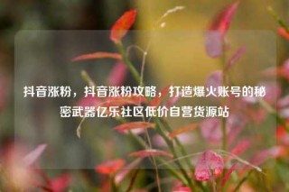 抖音涨粉,抖音涨粉攻略,打造爆火账号的秘密武器亿乐社区低价自营货源站